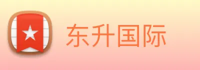 东升国际 Logo